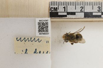Media type: image;   Entomology 788337 Aspect: Labels